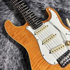 Fender Japan AST-110DMC_11