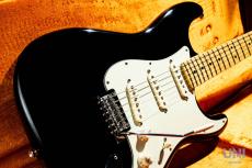 Fender American Professional Stratocaster / 2016_2