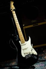 Fender American Professional Stratocaster / 2016_3