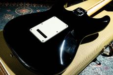 Fender American Professional Stratocaster / 2016_8