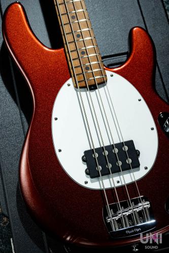 MUSIC MAN StingRay Special H
