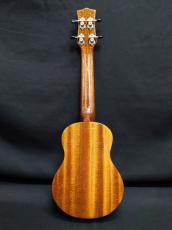 KIWAYA KPS-1M_2