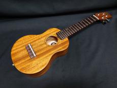 KIWAYA KPS-1M_3