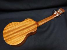 KIWAYA KPS-1M_4