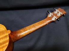 KIWAYA KPS-1M_8
