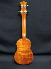 KIWAYA KPS-1K_2