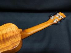 KIWAYA KPS-1K_8