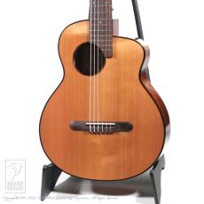 aNueNue aNN-MN14E (Nylon Strings)