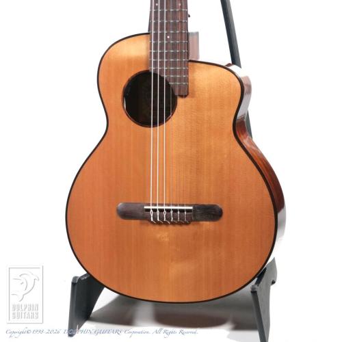 aNueNue aNN-MN14E (Nylon Strings)