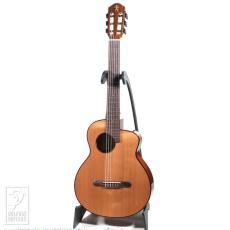 aNueNue aNN-MN14E (Nylon Strings)_2