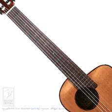 aNueNue aNN-MN14E (Nylon Strings)_5