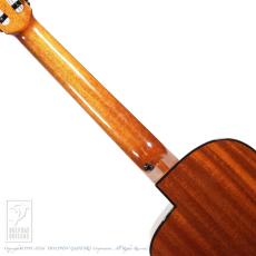 aNueNue aNN-MN14E (Nylon Strings)_6