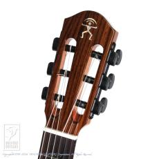 aNueNue aNN-MN14E (Nylon Strings)_7