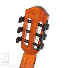 aNueNue aNN-MN14E (Nylon Strings)_8
