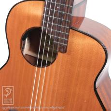 aNueNue aNN-MN14E (Nylon Strings)_11