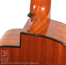 aNueNue aNN-MN14E (Nylon Strings)_12