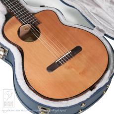 aNueNue aNN-MN14E (Nylon Strings)_14
