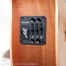Maton Joe Robinson Signature_10