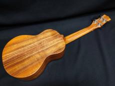 KIWAYA KPC-1K_4