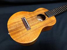 KIWAYA KPC-1K_5