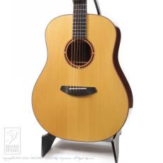 Breedlove Ed Gerhard Signature DAS