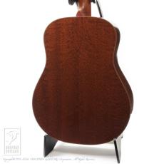 Breedlove Ed Gerhard Signature DAS_3