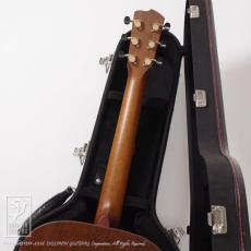 Breedlove Ed Gerhard Signature DAS_9