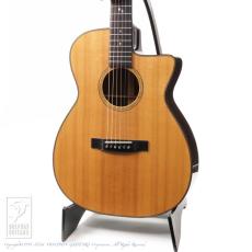 HIDAKA GUITARS OM-02 Custom