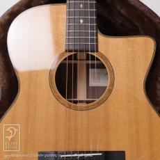 HIDAKA GUITARS OM-02 Custom_12