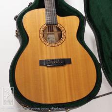 Martin EMP-1  Employee Model_10
