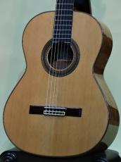 Altamira N500