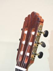 Altamira N500_2