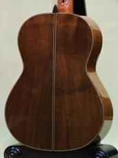 Altamira N500_4