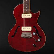 Epiphone Blueshawk Deluxe WR ~Wine Red~ 2016年製