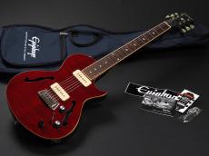 Epiphone Blueshawk Deluxe WR ~Wine Red~ 2016年製_2