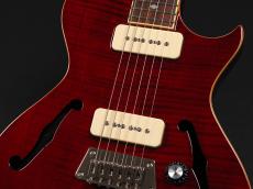 Epiphone Blueshawk Deluxe WR ~Wine Red~ 2016年製_5