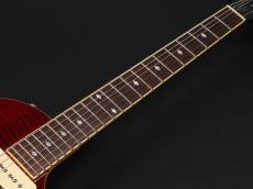 Epiphone Blueshawk Deluxe WR ~Wine Red~ 2016年製_8