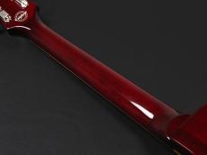 Epiphone Blueshawk Deluxe WR ~Wine Red~ 2016年製_10