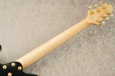 Sugi Standard Series DS496IR FM-EX/HM/F-MAHO -SBL-_9