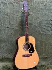 Maton 80th Anniversary CW80-Dreadnought #054【48回迄金利0%対象】【送料当社負担】_2