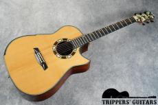 Hozen Guitars Modified Dreadnought Falcate (2025) 様々なオプションが入った豪華なスペックのギターです!