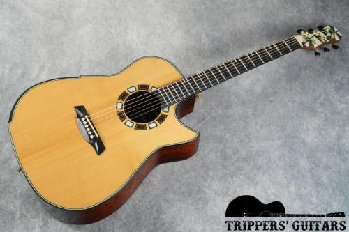 Hozen Guitars Modified Dreadnought Falcate (2025) 様々なオプションが入った豪華なスペックのギターです!