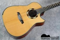 Hozen Guitars Modified Dreadnought Falcate (2025) 様々なオプションが入った豪華なスペックのギターです!_14