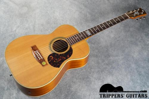 Maton EBG808TE (2020) トミー・エマニュエルのシグネイチャーモデル入荷しました!