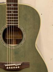 Takamine PTU441 CTM  ~Custom Foliage Green ~【無金利分割OK】【送料は当社負担】_3
