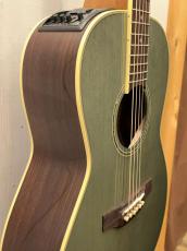 Takamine PTU441 CTM  ~Custom Foliage Green ~【無金利分割OK】【送料は当社負担】_4