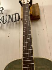 Takamine PTU441 CTM  ~Custom Foliage Green ~【無金利分割OK】【送料は当社負担】_5