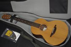 Sheeran by Lowden W-03_2