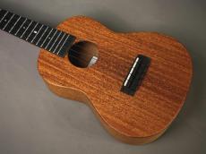 Millar CPA-E Concert【S/N 115】_2