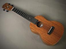 Millar CPA-E Concert【S/N 115】_3
